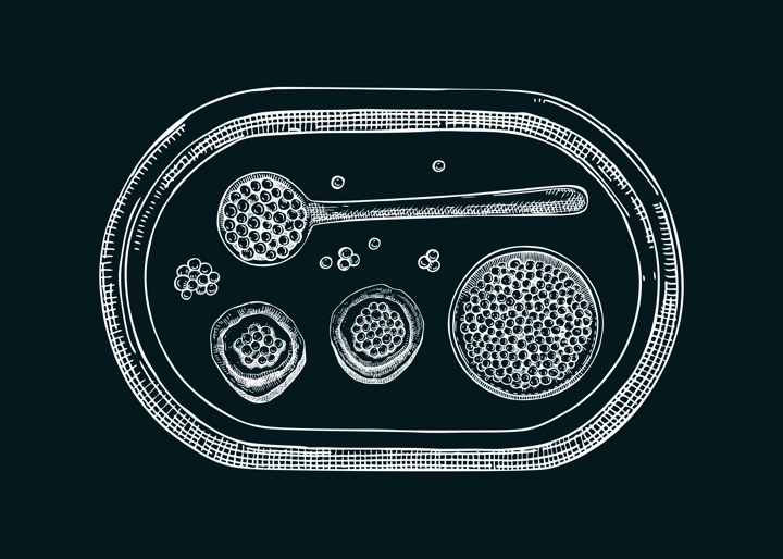 Seafood illustration with red caviar canape, canned caviar, lemons, spices on tray sketches on chalkboard. Sea delicacy sketches set for restaurant or finger food menu